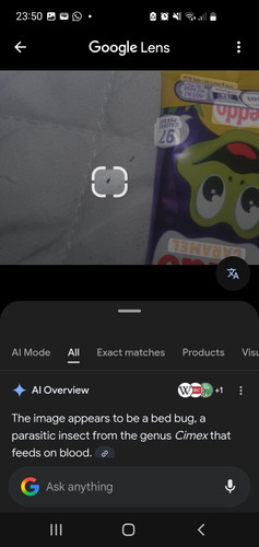 Screenshot 20260111 235003 Google.jpg