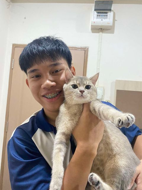 467338679 536088822554251 1578279169098236955 n.jpg