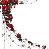 IMG 6025 removebg preview.png