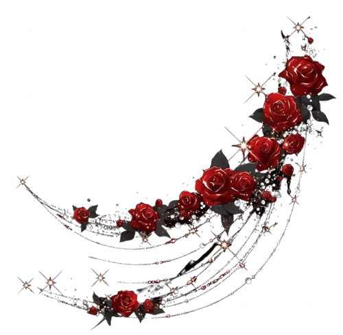 IMG 6026 removebg preview.png