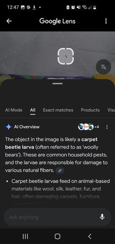 Screenshot 20260112 124750 Google.jpg