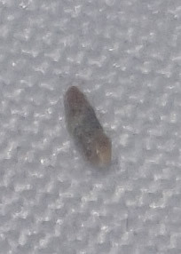 PSX 20260112 125239.jpg