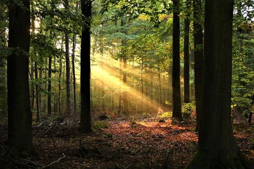 G dAUQIWsAAwDX ?format=jpg.jpg