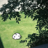 自制头像｜自嘲熊超萌九图大放送(´▽｀) 1 大黄狗蛋糕 来自小红书网页版