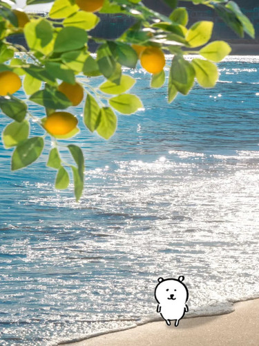 自制头像｜好喜欢这组的光 ´ᴥ｀❣️ 4 大黄狗蛋糕 来自小红书网页版