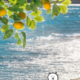 自制头像｜好喜欢这组的光 ´ᴥ｀❣️ 4 大黄狗蛋糕 来自小红书网页版