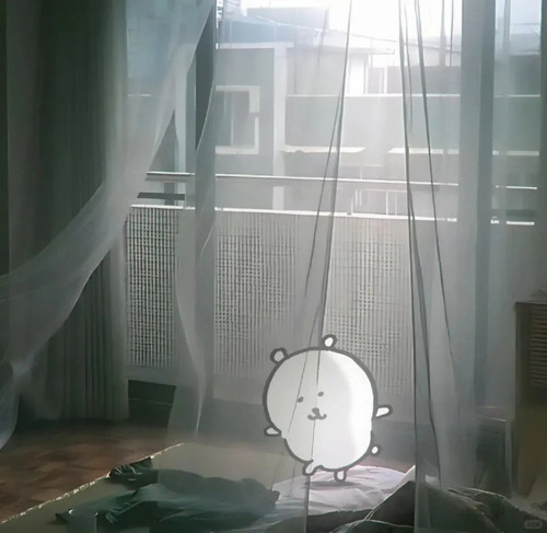 share‖熊 淡淡的生活 16 毛菜毛菜 来自小红书网页版.jpg