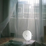 share‖熊 淡淡的生活 16 毛菜毛菜 来自小红书网页版