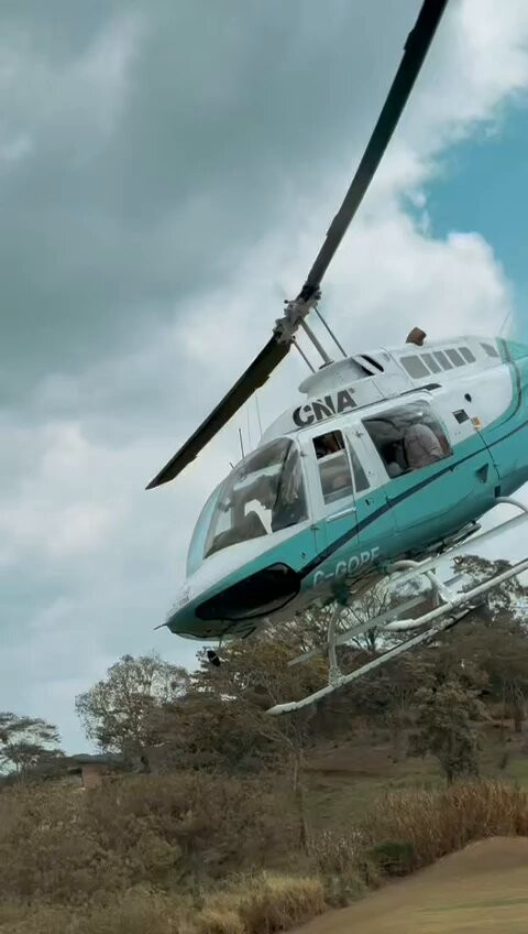 1vTy IVJUXEoGp6V.jpg