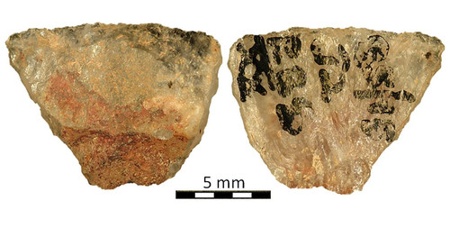 5979776537391205399 y 4.jpg