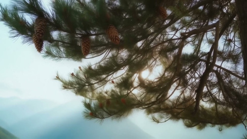 frame horizontal 007.jpg