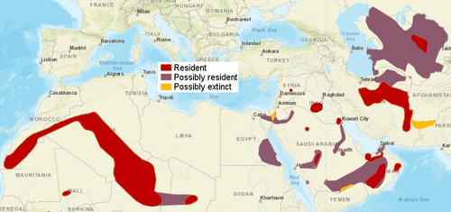 G YQ94Ea0AALz9h.jpg