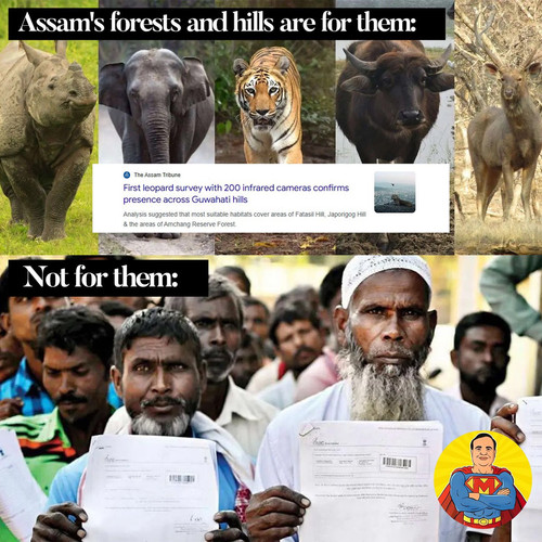 G TWzOMaUAEDGxU?format=jpg.jpg