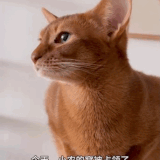 51135b2882af7b9db897da51765749ec.gif