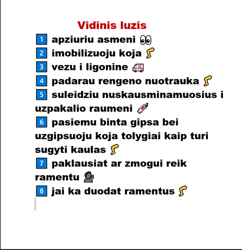 vidinis luzis.png