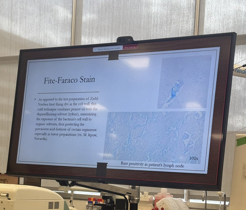 G Vs31HXkAMUZtU?format=jpg.jpg