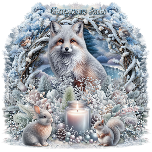 cc1st 14thjan Gorgeous Arie