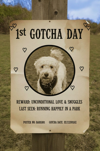 G XdjXCWwAAyzFz?format=jpg.jpg