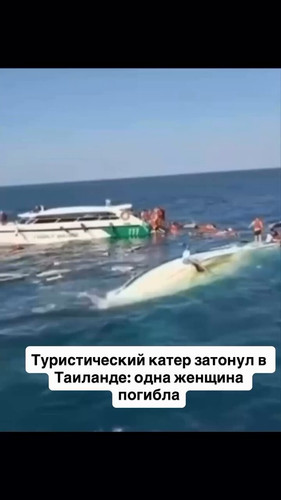 8Ak2l zuZV7zqQvT.jpg