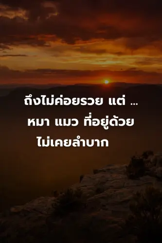 1949086840c2.webp