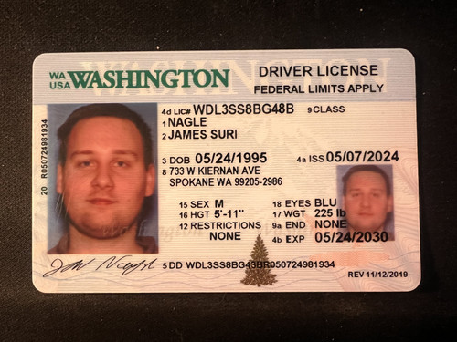 James Suri Nagle license image.jpg