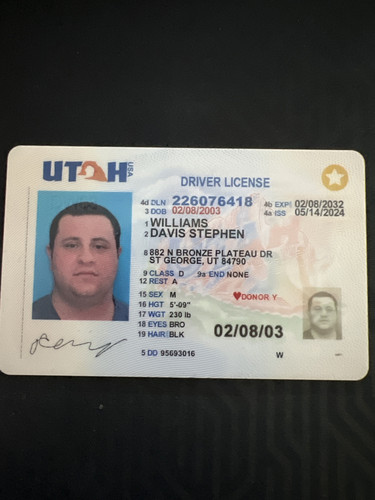 Davis Stephen Williams license image.jpg