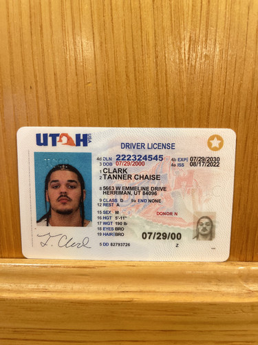 Tanner Chaise Clark license image.jpg