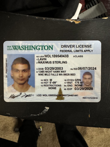 Maximus Sterling Lavin license image.jpg