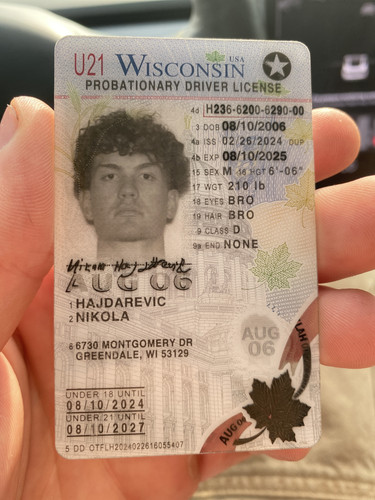 Nikola Anthony Hajddarevic license image.jpg