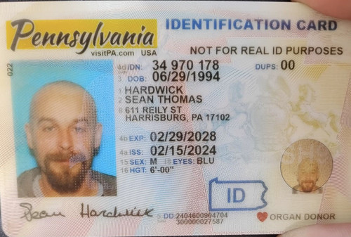 Sean Hardwick license image.jpg