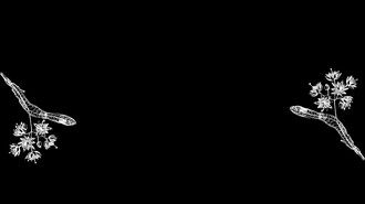 330x192.jpg