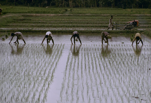 G ffogfWgAAFasv?format=jpg.jpg