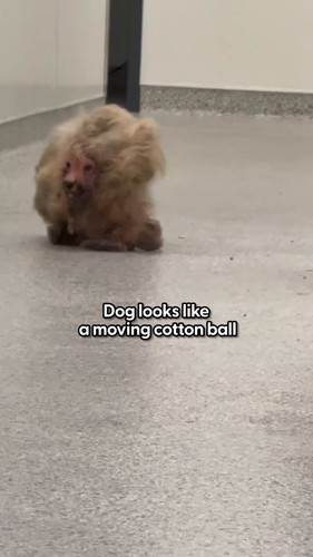 u8uBGg gbLwc5Tt3.jpg