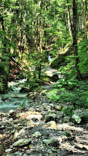 G X51kkX0AA5nMU?format=jpg.jpg