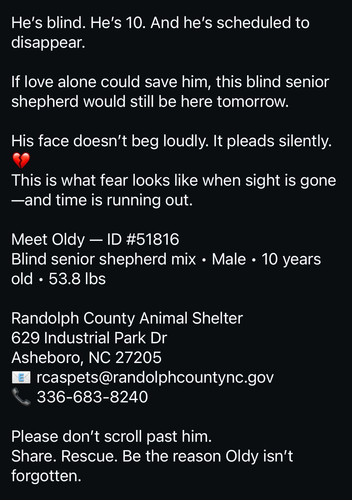 G YpsS2WwAIm3dN?format=jpg.jpg