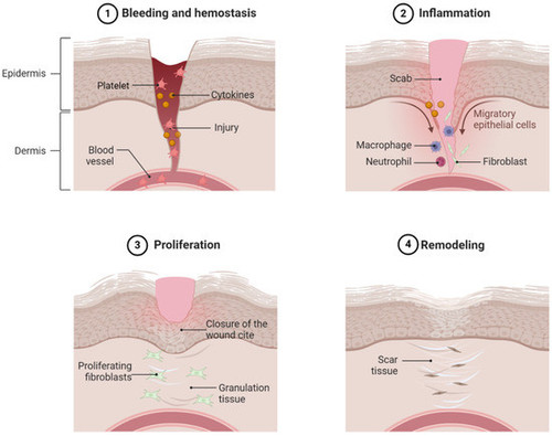 G L72jLboAAgsuG?format=jpg.jpg