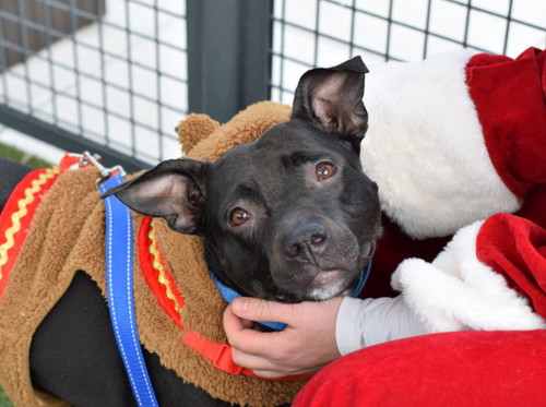 G93aZnFaoAA 19x?format=jpg.jpg