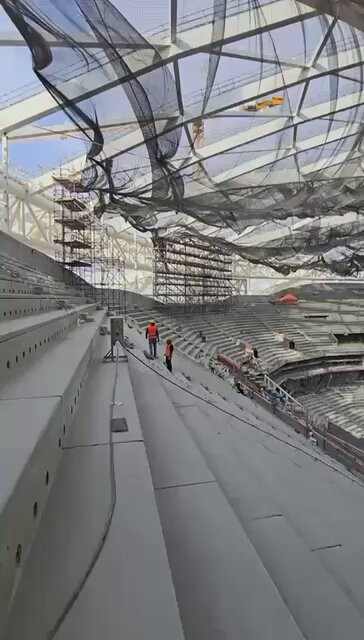 smSV7Caax hNTs n.jpg