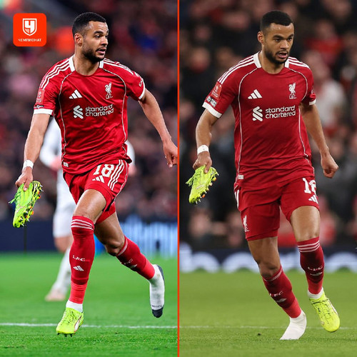 YWR6YHb37MHyp8SgpTGac7WmJiYrf6XKoCRHBH90TvWS2ryF o6d1KgYgns1ZP7YxurErjidNa0hyppU97c 9i Zr2Z xWPlIvgK.jpg