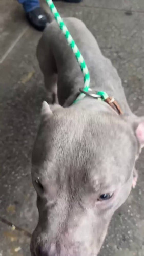 enrYx5z1Br 9781p.jpg