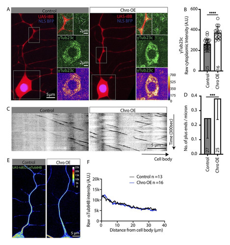 G epkGSXYAAd70D?format=jpg.jpg