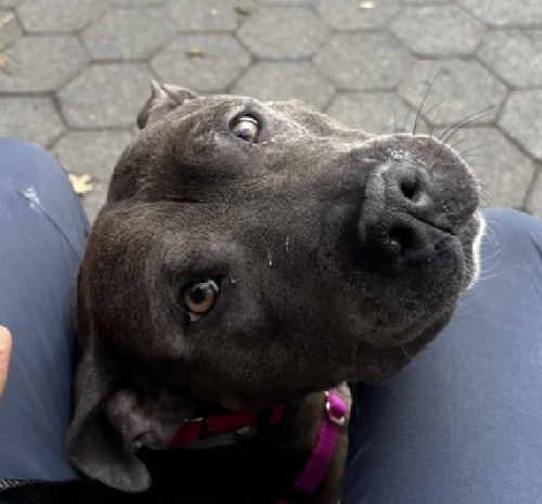 G5 UcZ3bMAQrfgB?format=png.png