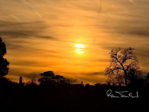 G enwUPW8AA09mS?format=jpg.jpg