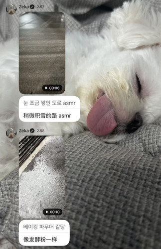 微信图片 20260113084610 101 343.jpg