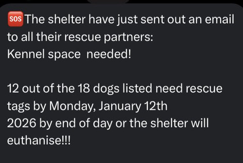 G efO9hXIAAi3M7?format=jpg.jpg