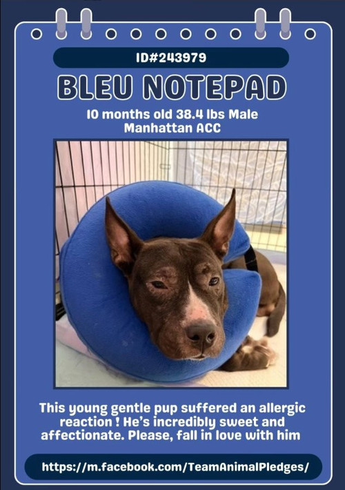 G QRbM6bcAAnw31?format=jpg.jpg