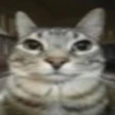 demo pic2.jpg