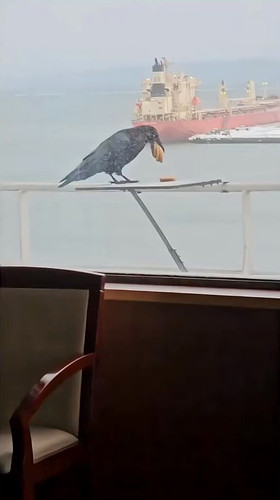 1 BNkOPKbua7z2qd.jpg