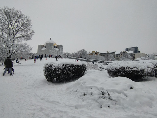 IMG 20260111 134515.jpg