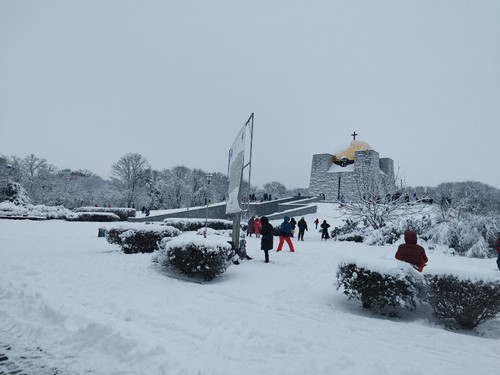 IMG 20260111 134310.jpg